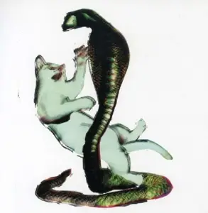 Les Savy Fav - Cat And The Cobra