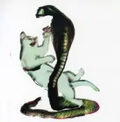 Les Savy Fav - Cat And The Cobra