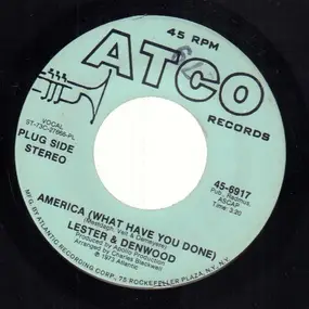 LESTER - America (What Have You Done)