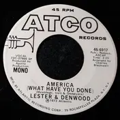LESTER - America (What Have You Done?)