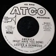 Lester & Denwood - America (What Have You Done?)