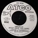 7inch Vinyl Single - Lester & Denwood - America (What Have You Done?) - Mono/Stereo