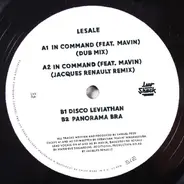 LeSale Feat. Sebastian Mavin Magassouba - In Command