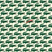 Les Points - Il N'ya Pas De Crocodiles &agrave; Cocody Ep