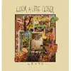 LP - LEVEK - LOOK A LITTLE CLOSER