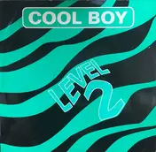 level 2 - Cool Boy