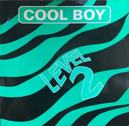 Level 2 - Cool Boy