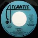 7inch Vinyl Single - LeVert - Casanova