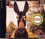 CD Single - Levitation - World Around