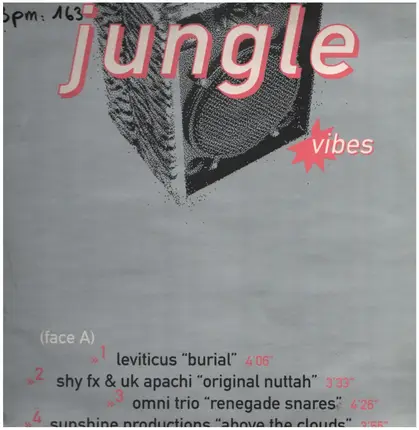 Leviticus, Omni Trio a.o. - Jungle Vibes