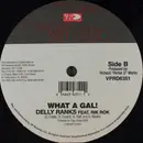 12inch Vinyl Single - Lexxus / Delly Ranks & Rik Rok - Nyam Mi Out / What A Gal