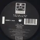 2 x 12inch Vinyl Single - Lexicon Avenue - Here I Am
