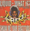 12'' - L-Fudge - Liquid / What If? / Show Me Your Gratitude