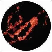 LHF - EP3: CITIES OF TECHNOLOGY