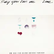 12'' - Lime - Say You Love Me / Are You Being Untrue Tonight