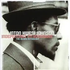 Linton Kwesi Johnson - Independant Intavenshan (The Island Anthology)