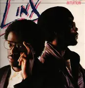 LP - Linx - Intuition