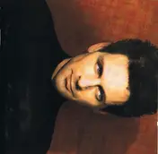 Lindsey Buckingham - Out of the Cradle