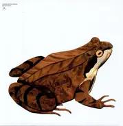 Lindstrom & Prinz Thomas - BONEY M DOWN