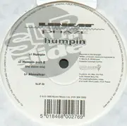 12inch Vinyl Single - Linear Phaze - Humpin