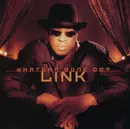 CD Single - Link - Whatcha Gone Do?