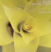 Lior Magal - Carma Vision
