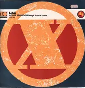 12inch Vinyl Single - Liaz - House Sensation (Magic Juan's Remix)