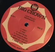 LP - Liam Bailey - Ekundayo