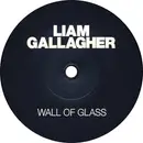 7inch Vinyl Single - Liam Gallagher - Wall Of Glass - Second Edition