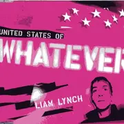 CD Single - Liam Lynch - United States Of Whatever
