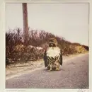 12inch Vinyl Single - Libyans - A Common Place