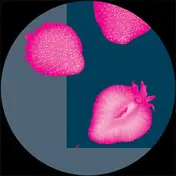Liebe Ist Cool - Liebe EP