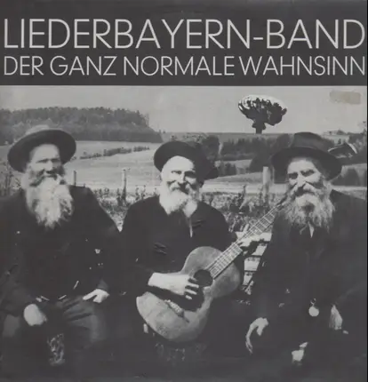 Liederbayern Band - Der Ganz Normale Wahsinn
