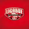 LP-Box - LIGABUE - CAMPOVOLO 2011