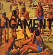 Ligament - Halfway Between San Juan & Mendoza