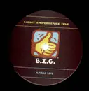 12inch Vinyl Single - Light Experience One - Jungle Life