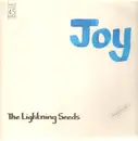 12'' - Lightning Seeds - Joy