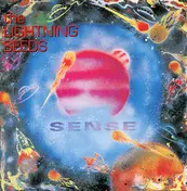 The Lightning Seeds - Sense