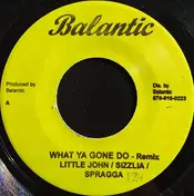 Lil' Jon - What Ya Gone Do - Remix / Candy Shop - Remix