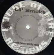 Lil' Smoke - House of fire