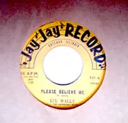 Li'l Wally And The Harmony Boys - Please Believe Me / Harmony Boys Polka