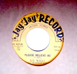 Li'l Wally - Please Believe Me / Harmony Boys Polka