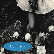 Lilys - February Fourteenth / Threw A Day