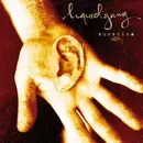 CD - Liquid Gang - Sunshine