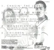 CD Single - Liquid Life - Chasin' The Love