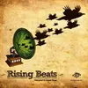 CD - Liquid Shape - Rising Beats
