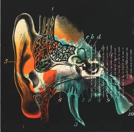 Liquorice - Listening Cap