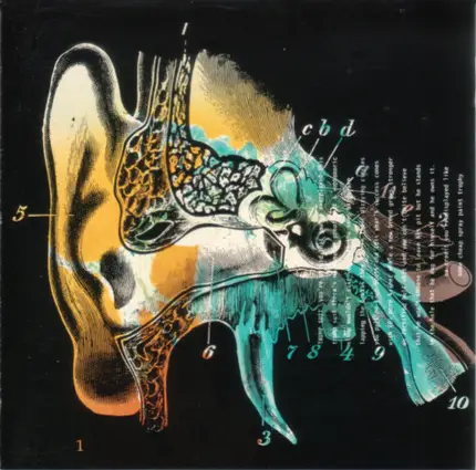 Liquorice - Listening Cap