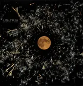 Lisa O'neill - All of This is Chance