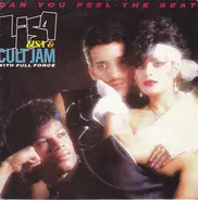 Lisa Lisa & Cult Jam With Full Force - Can You Feel The Beat